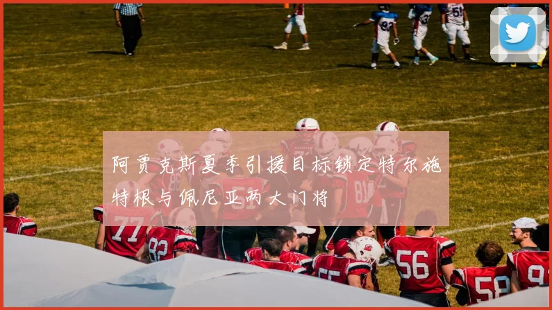阿贾克斯夏季引援目标锁定特尔施特根与佩尼亚两大门将