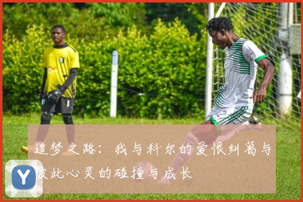 追梦之路：我与科尔的爱恨纠葛与彼此心灵的碰撞与成长