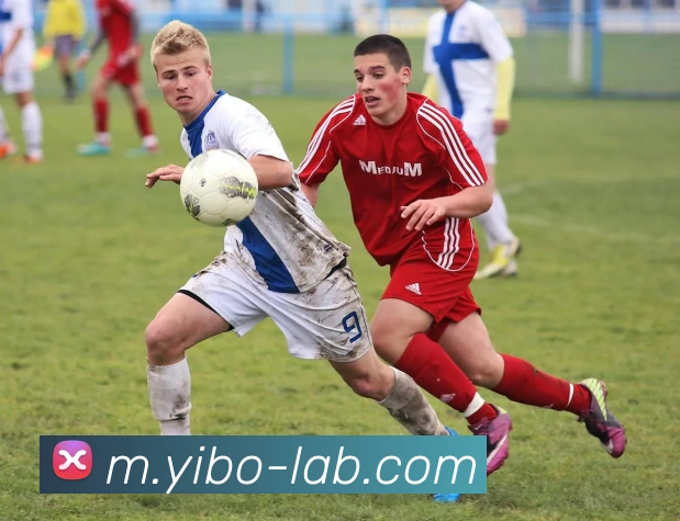 亿博体育服务体系